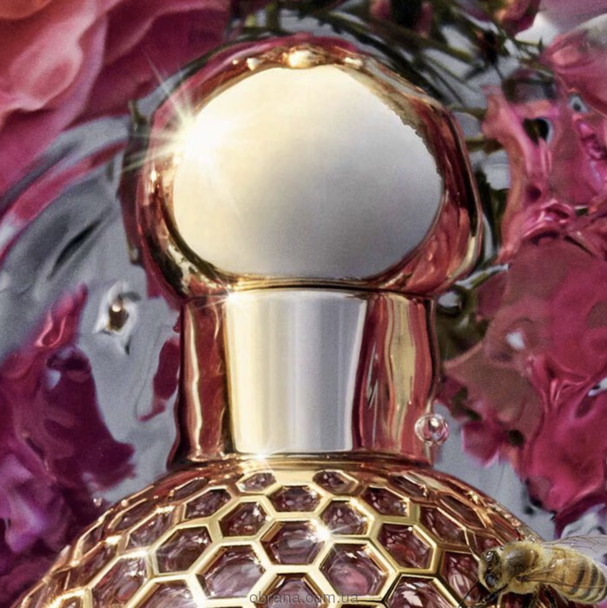 Aqua Allegoria Rosa Rossa Forte Guerlain image 0