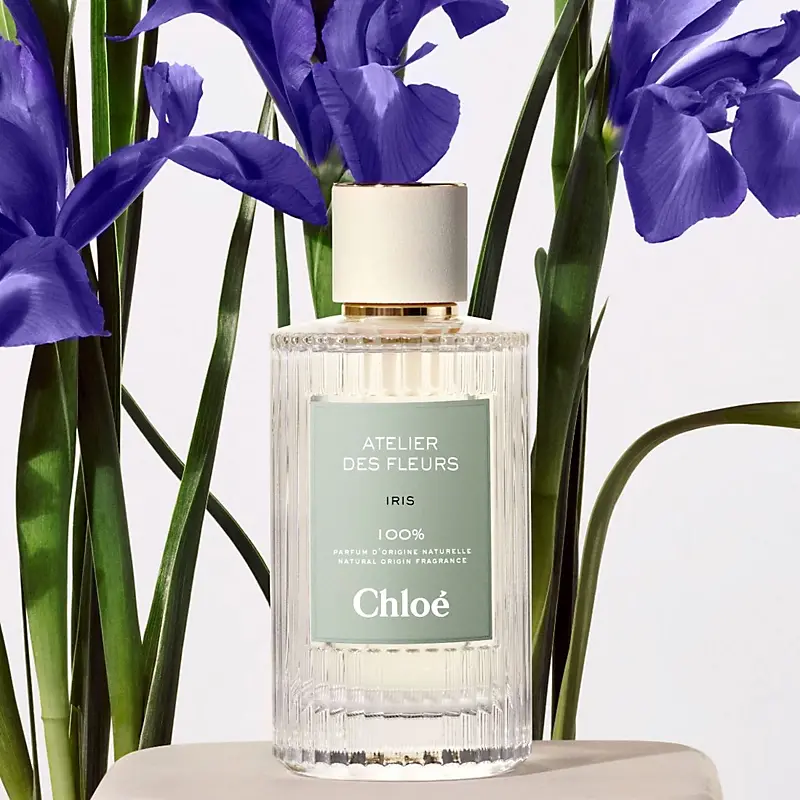 Atelier Des Fleurs Iris Chloé