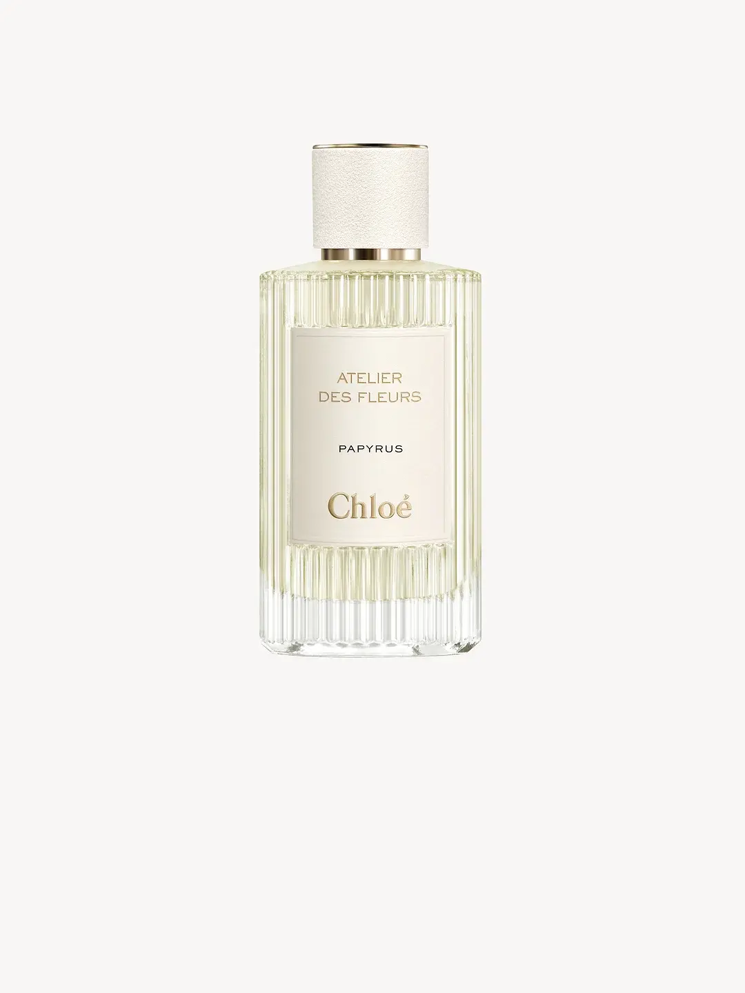 Atelier Des Fleurs Papyrus Chloé image 0