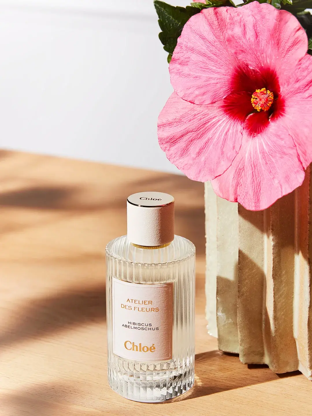 Atelier Des Fleurs Hibiscus Abelmoschus Chloé