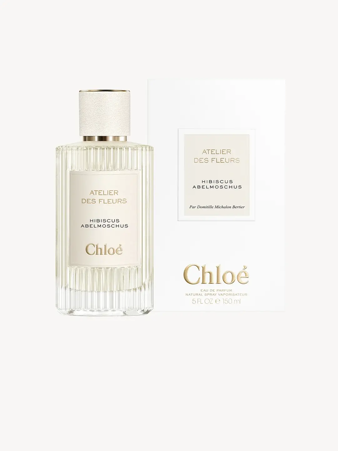 Atelier Des Fleurs Hibiscus Abelmoschus Chloé image 0
