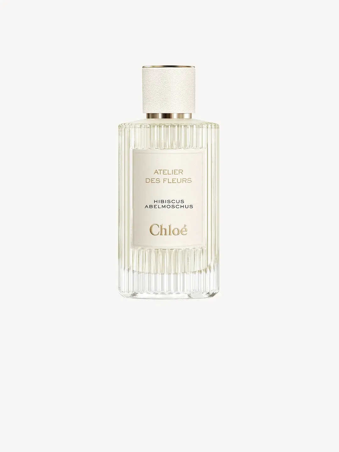 Atelier Des Fleurs Hibiscus Abelmoschus Chloé image 0