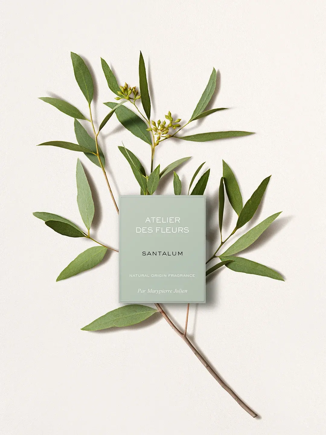 Atelier Des Fleurs Santalum Chloé image 0