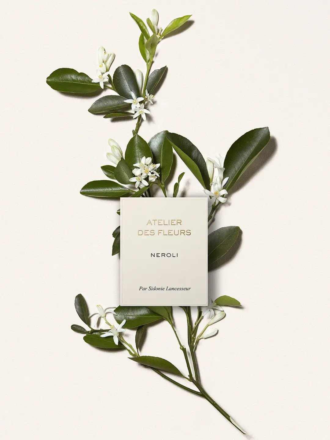 Atelier Des Fleurs Neroli Chloé