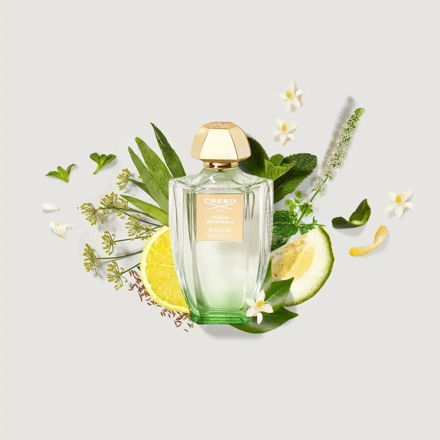 Acqua Original Green Neroli Creed