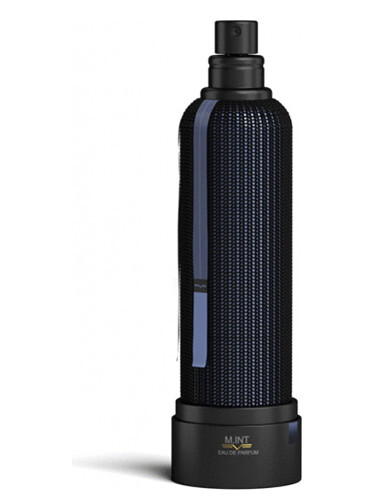 Mystic Treasure M.INT