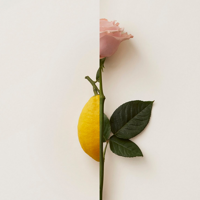 Rosa Limone New Notes image 0