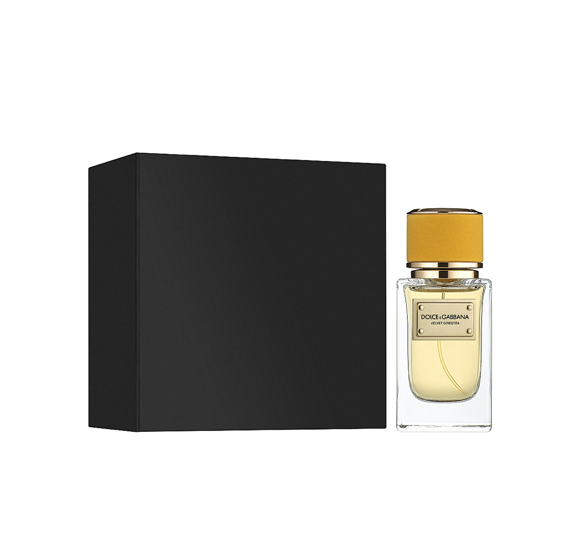 Velvet Ginestra Dolce and Gabbana image 0