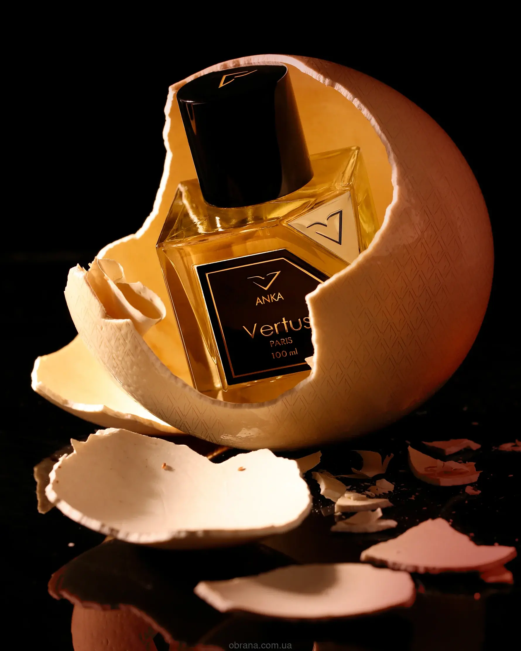 ANKA Vertus image 0
