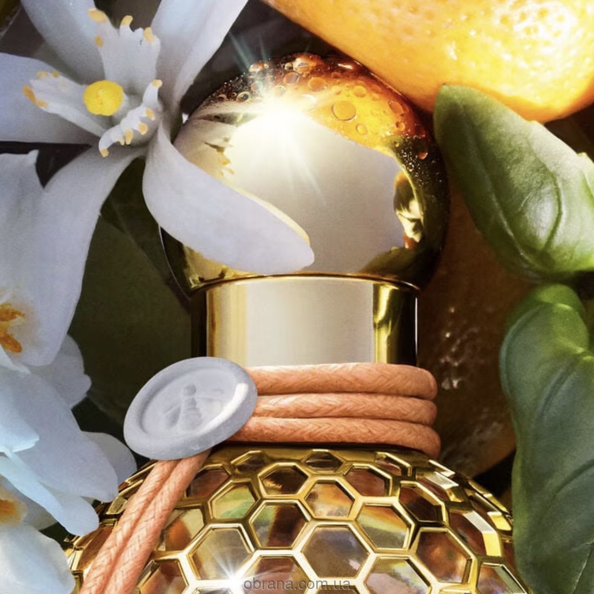 Aqua Allegoria Mandarine Basilic Harvest Guerlain image 0