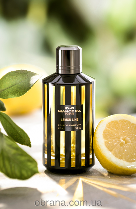 Lemon Line Mancera image 0