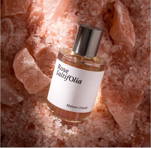 Rose SaltifOlia Maison Crivelli