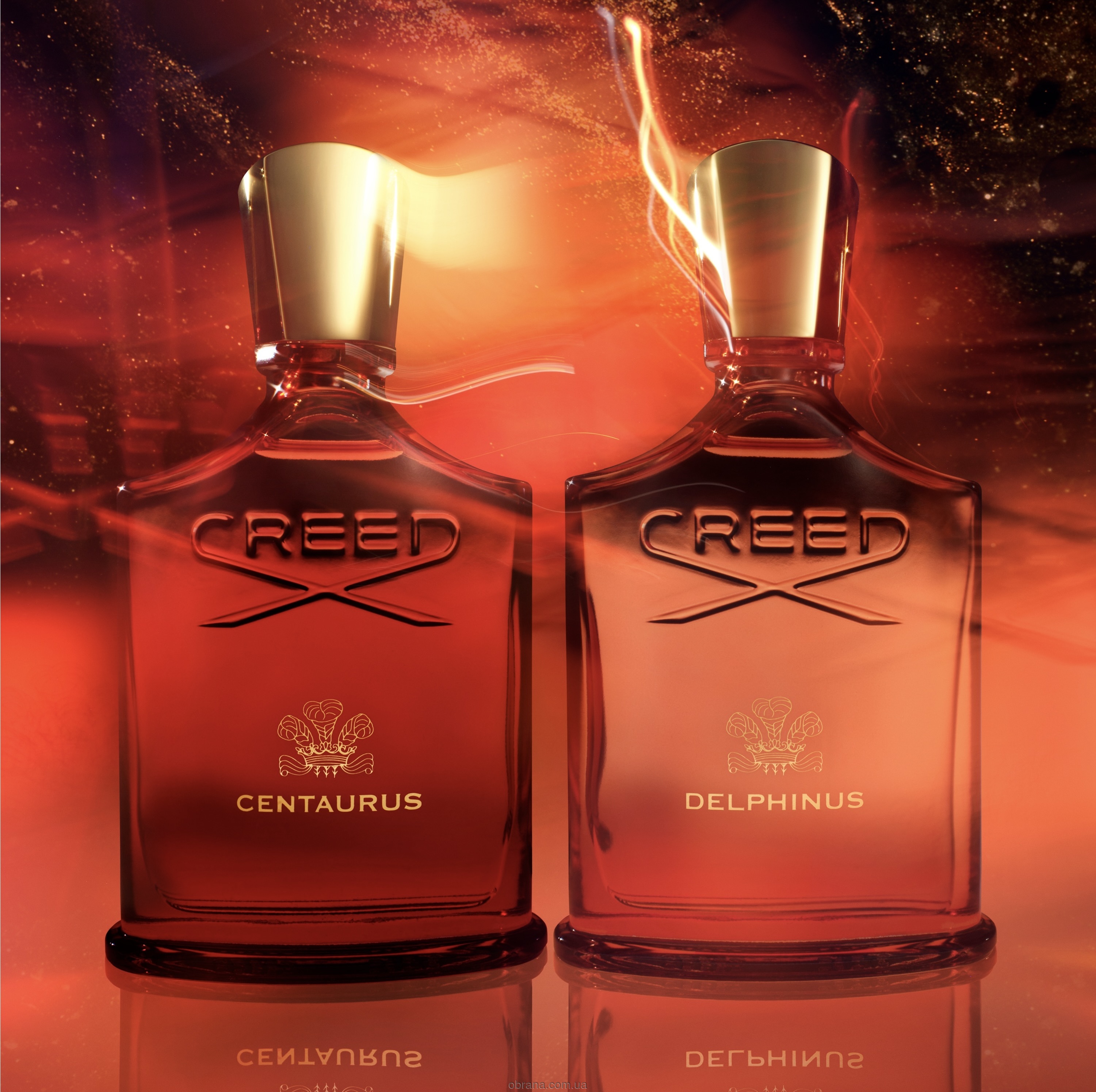 Delphinus Creed image 0