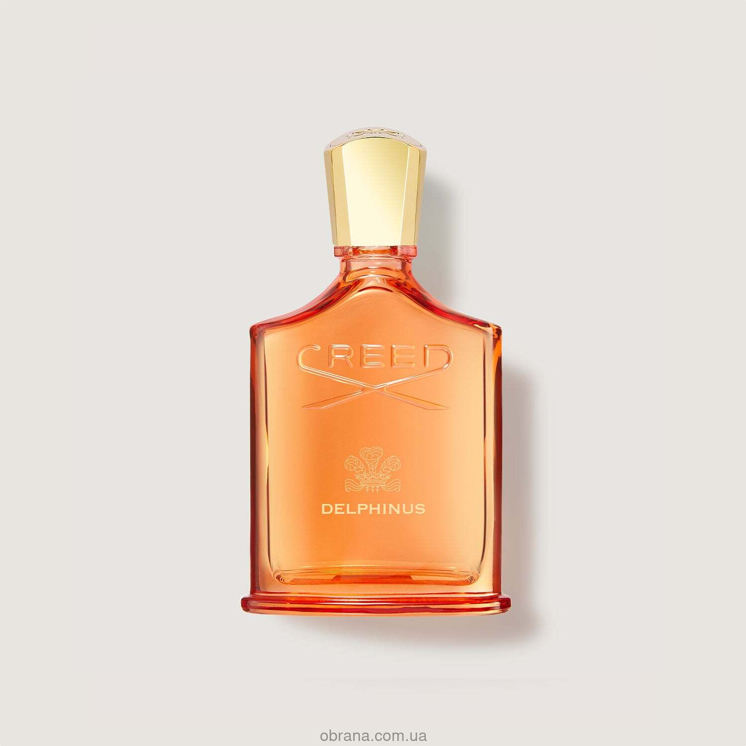 Delphinus Creed image 0