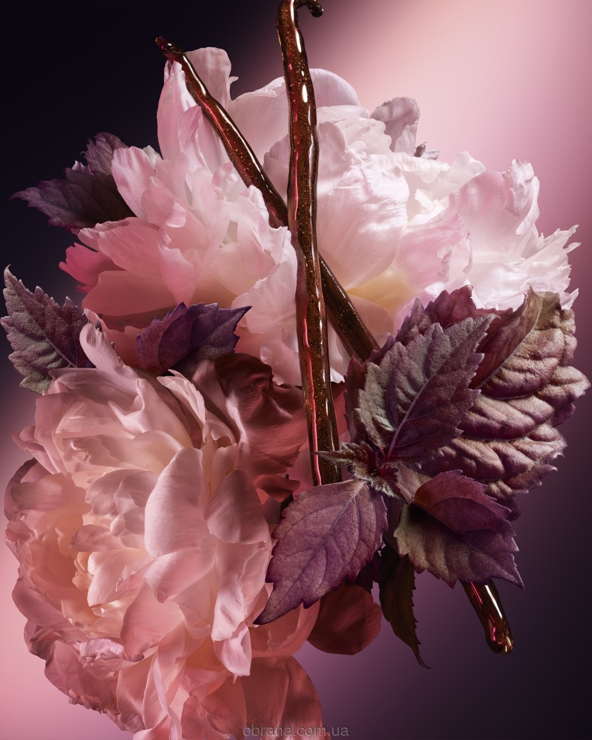 Good Girl Blush Elixir Eau de Parfum Carolina Herrera image 0