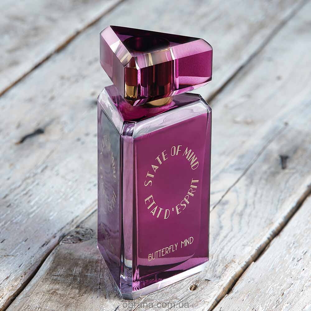 Butterfly Mind State of Mind