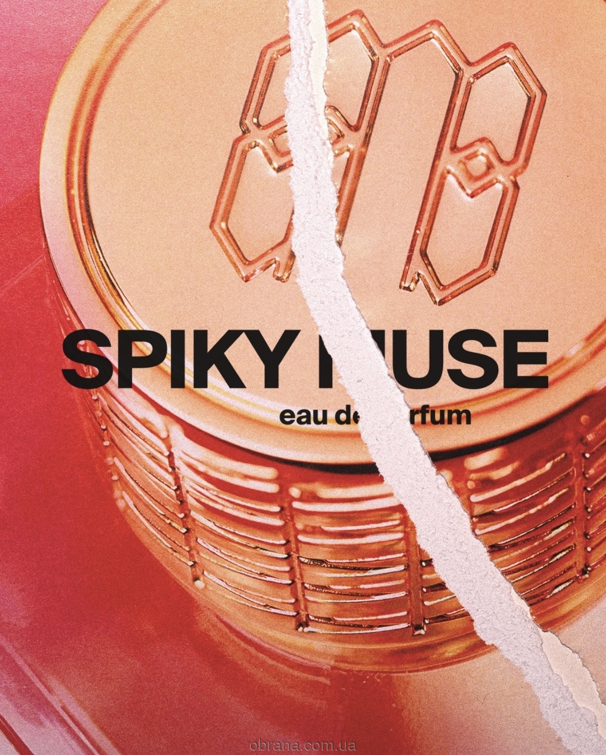 Spiky Muse Ex Nihilo 2025 image 0