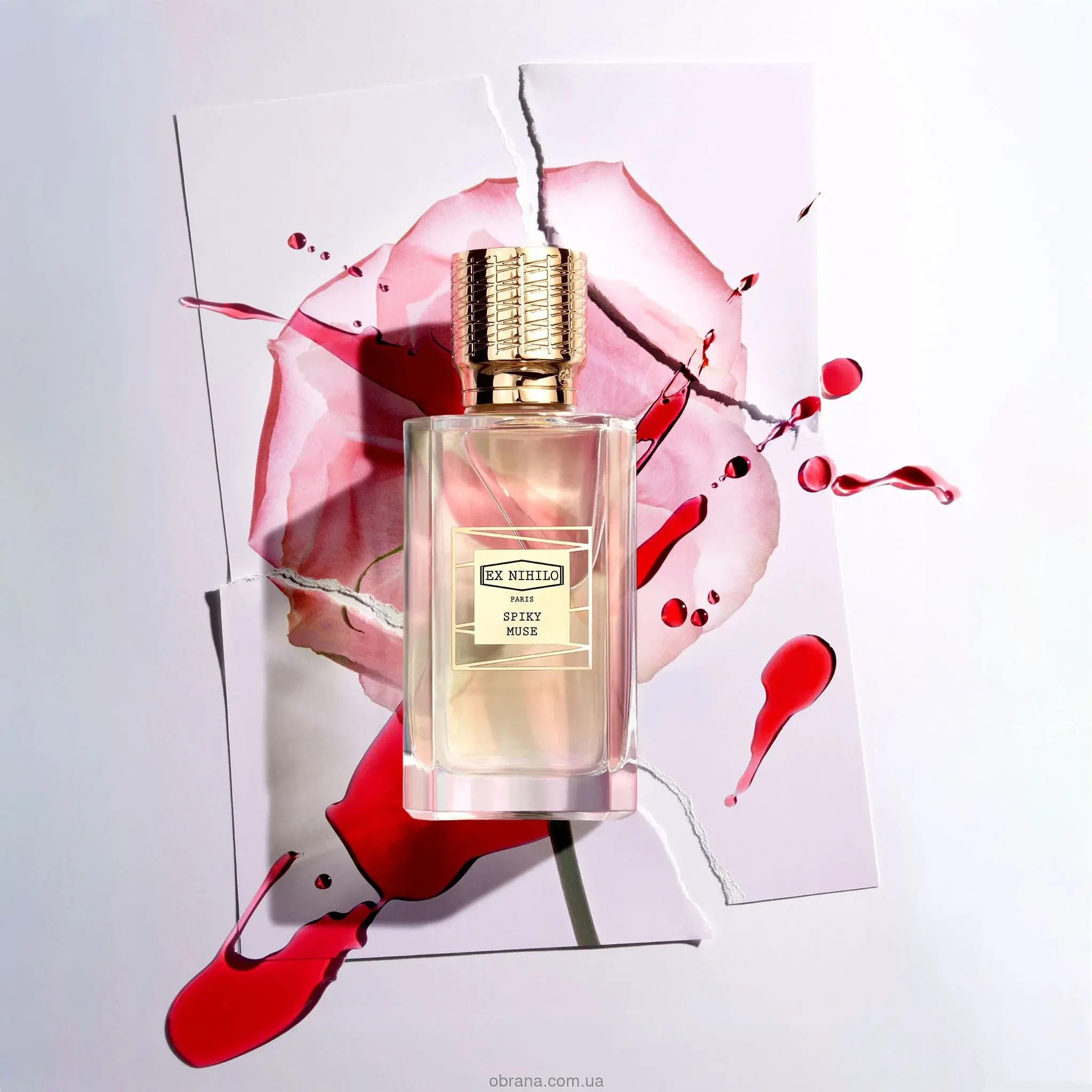 Spiky Muse Ex Nihilo 2025 image 0