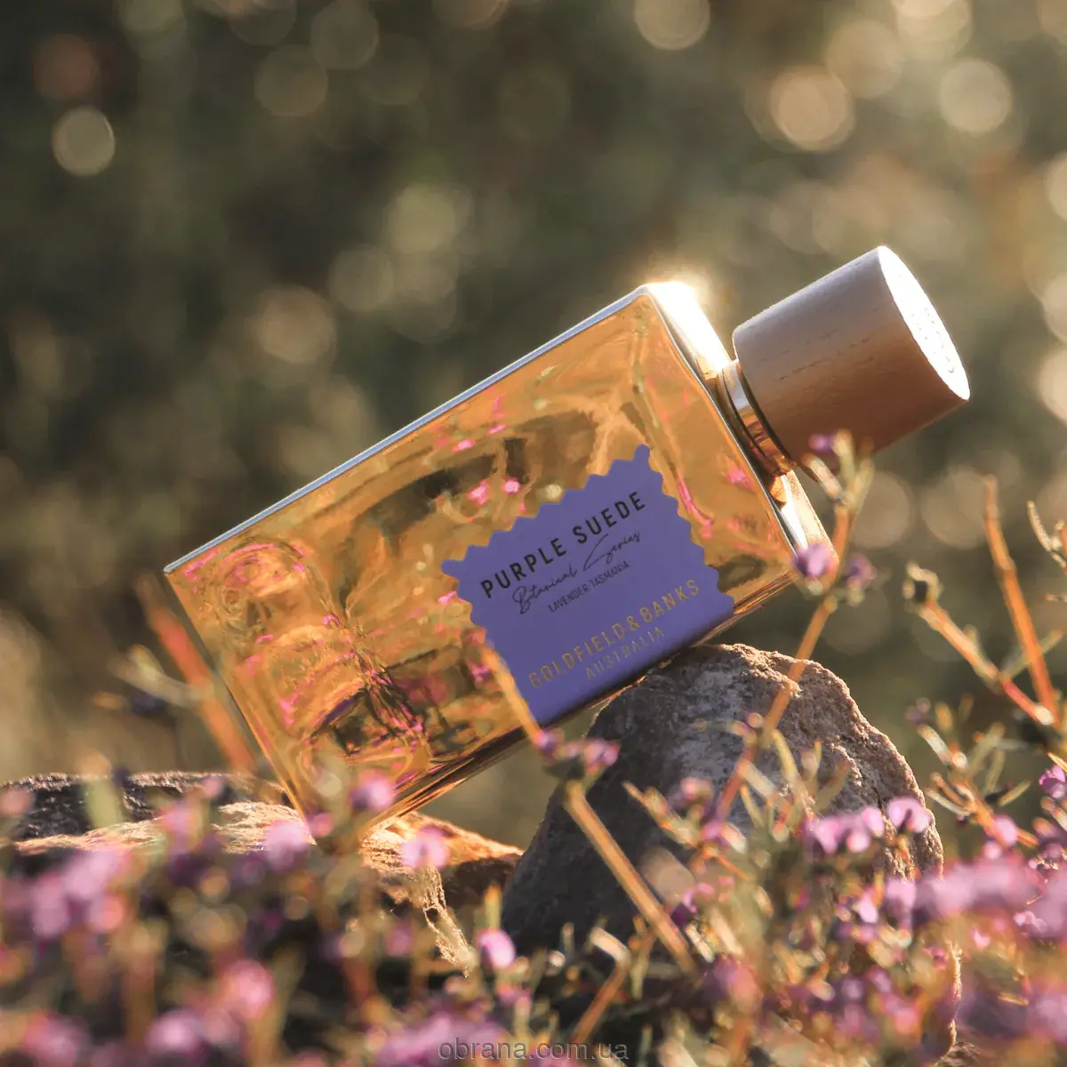 Purple Suede Goldfield and Banks Australia