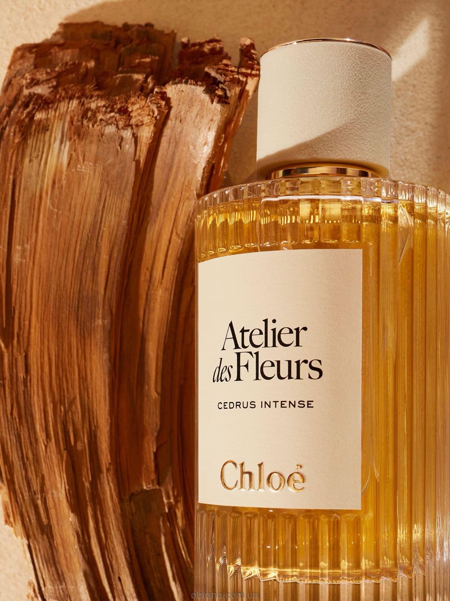 Atelier Des Fleurs Cedrus Intense Chloe image 0