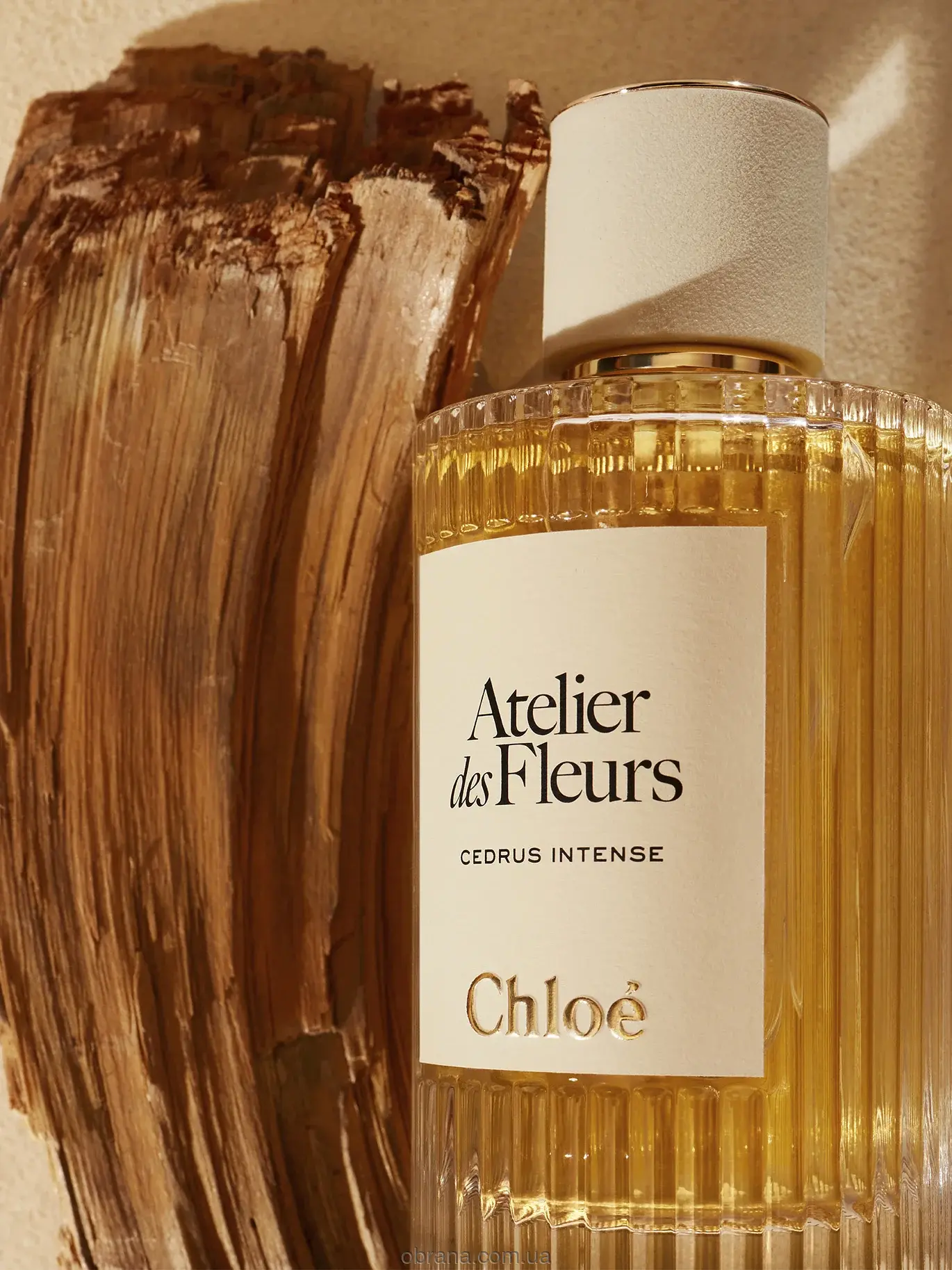 Atelier Des Fleurs Cedrus Intense Chloe 2025