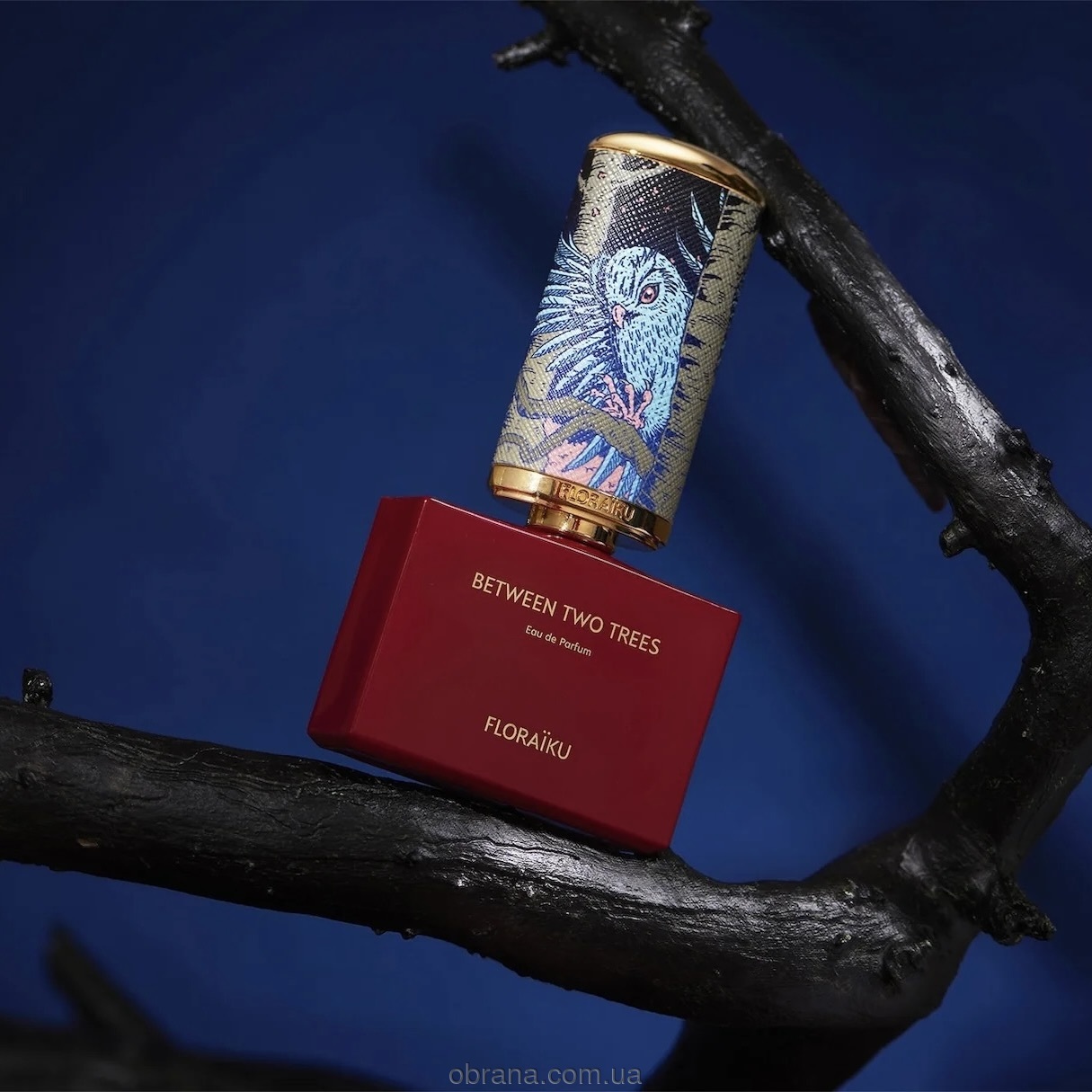 Between Two Trees Floraïku