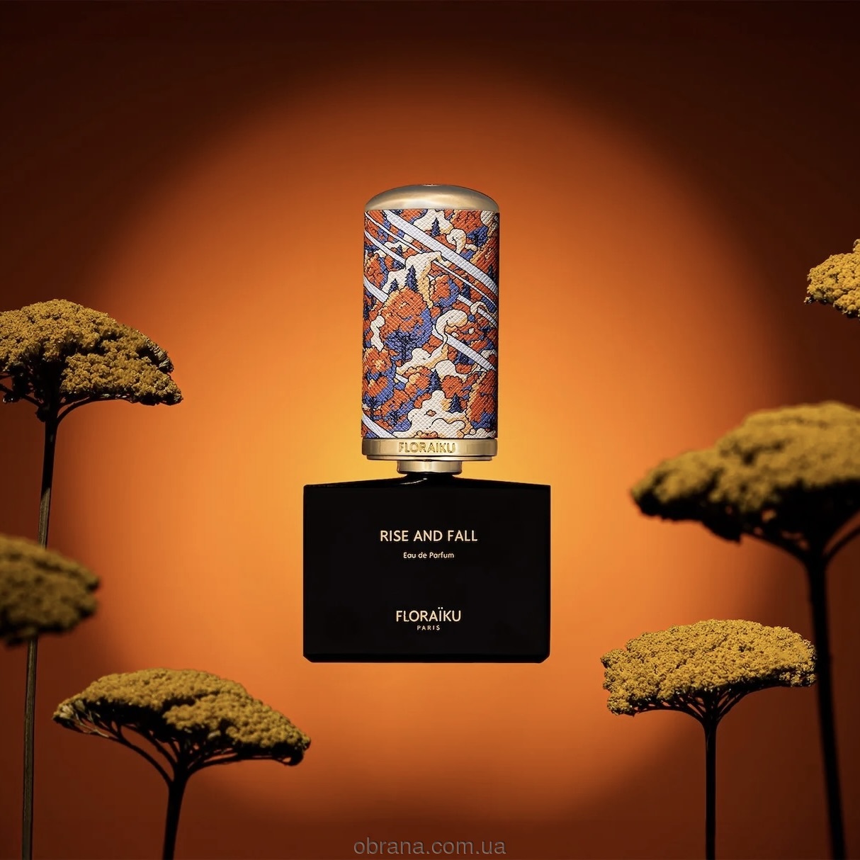 Rise and Fall Floraïku