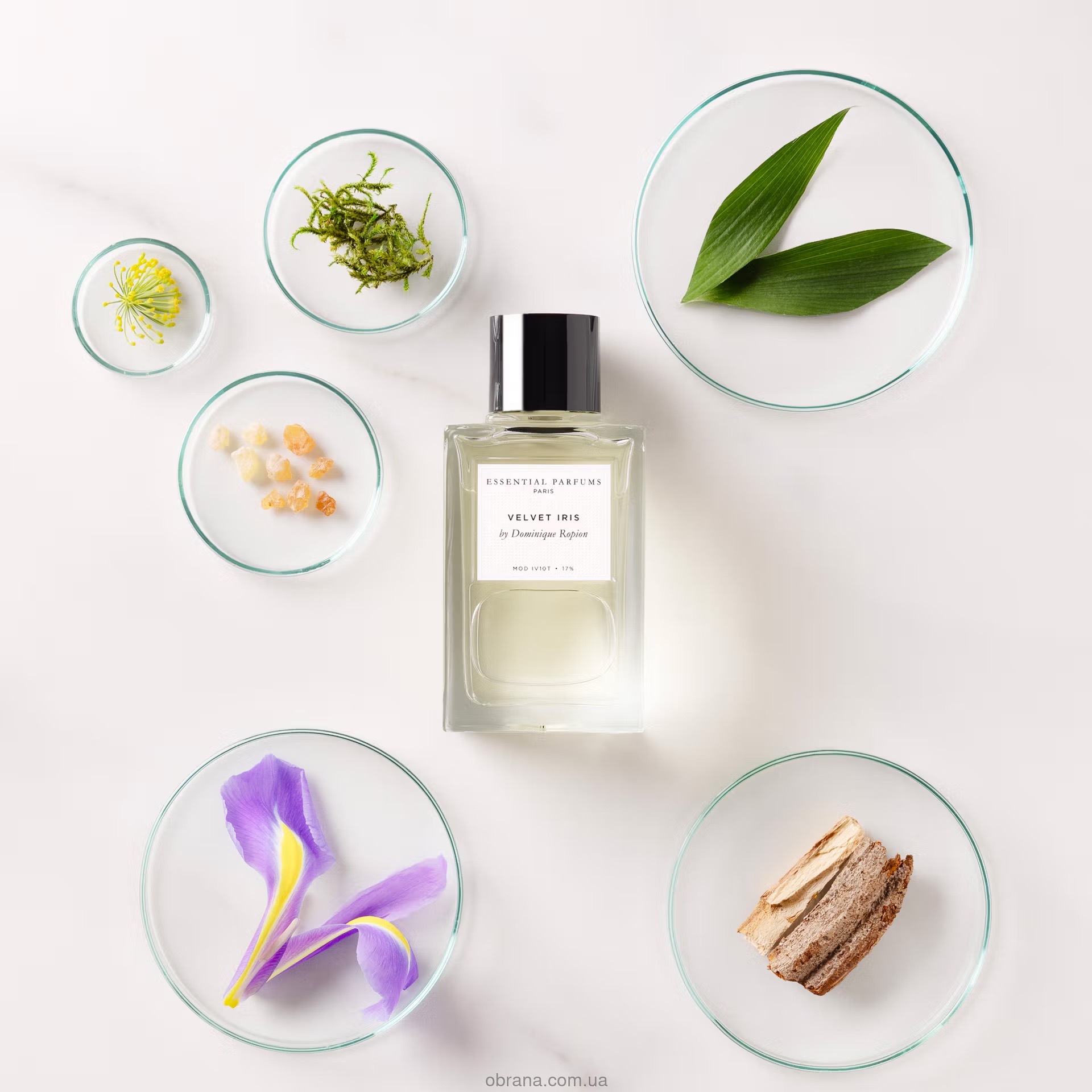 Velvet Iris Essential Parfums 2025