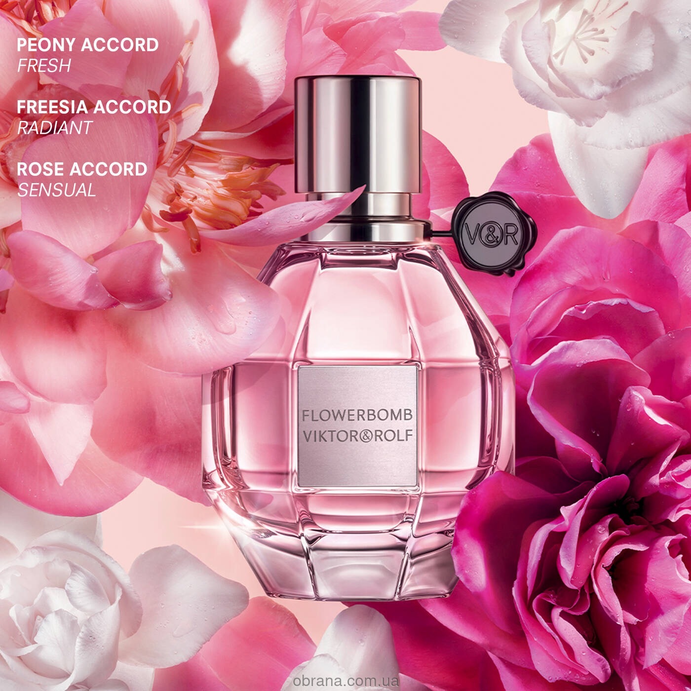 Flowerbomb Frozen Flower Viktor and Rolf