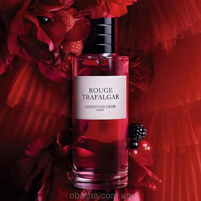 Rouge Trafalgar Dior image 0