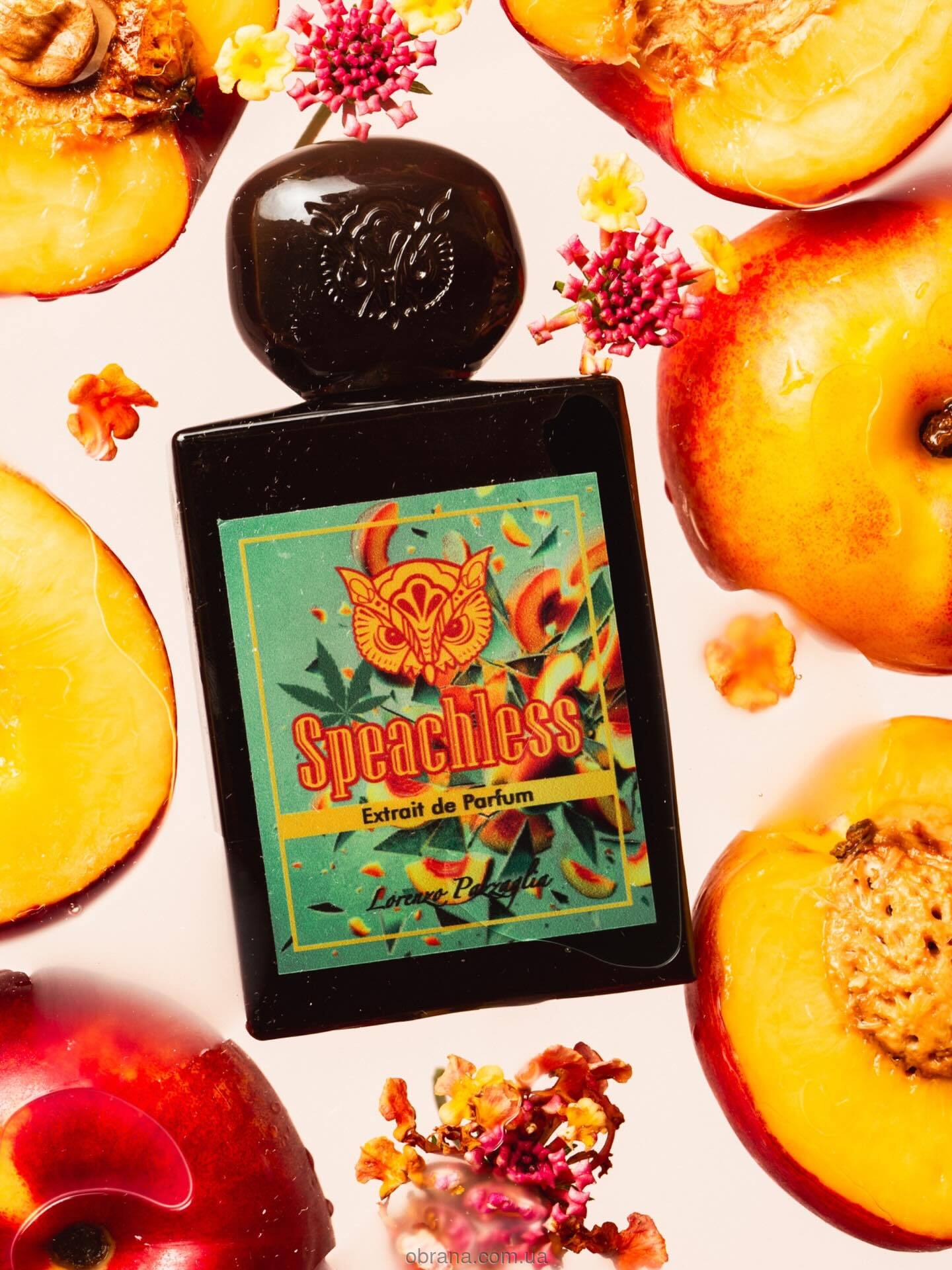 Speachless Lorenzo Pazzaglia 2025