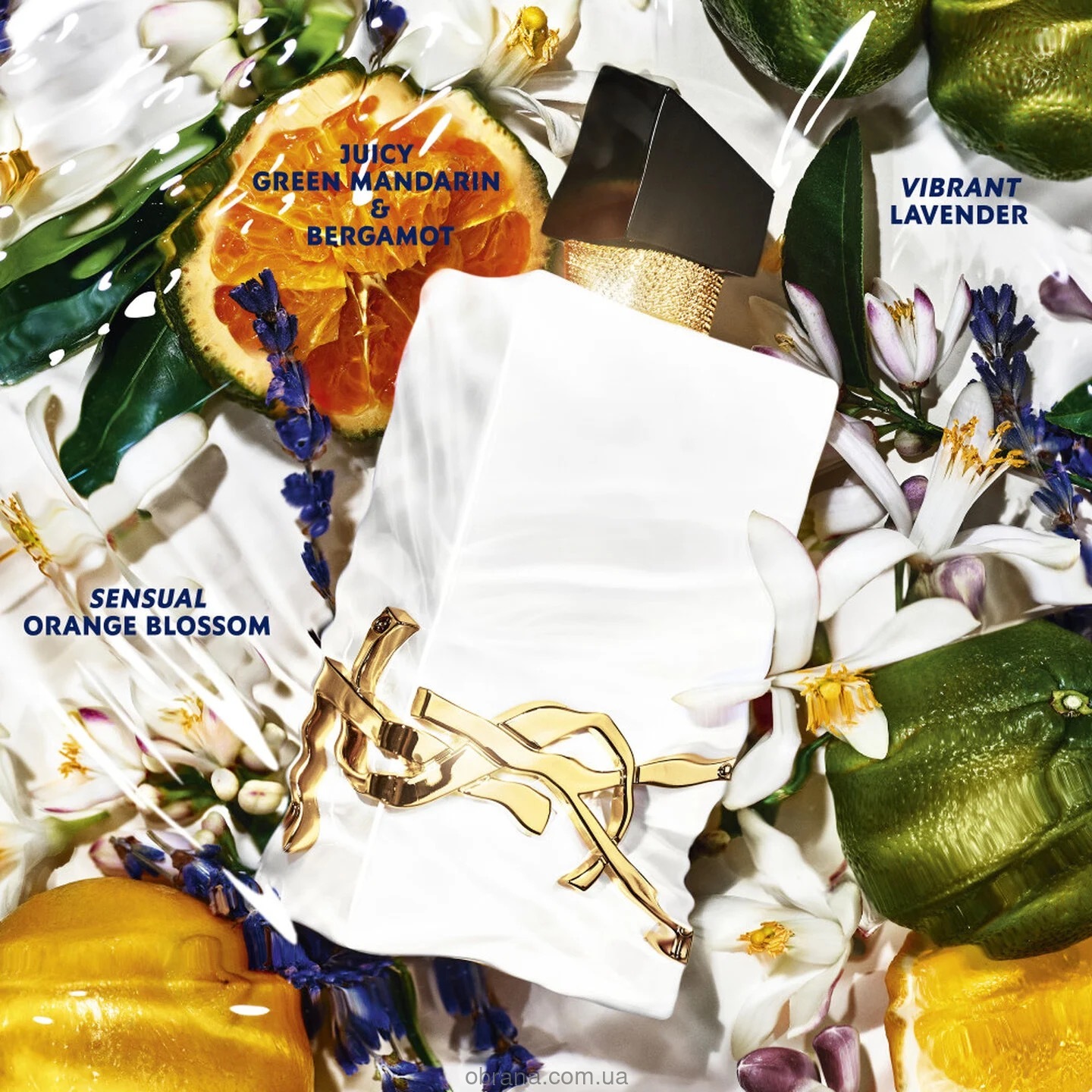 Libre L’Eau Nue Yves Saint Laurent 2025 image 0
