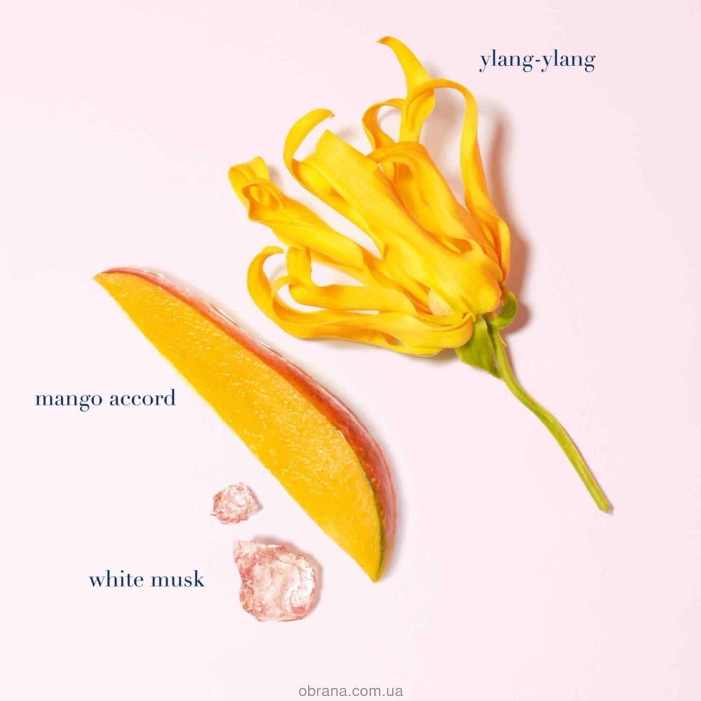 My Way Ylang Giorgio Armani image 0