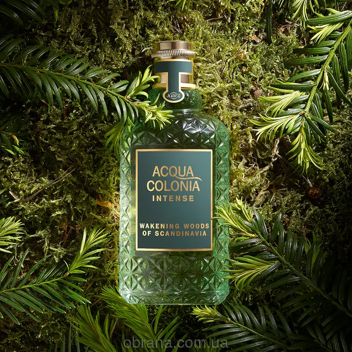 Acqua Colonia Intense Wakening Woods Of Scandinavia 4711