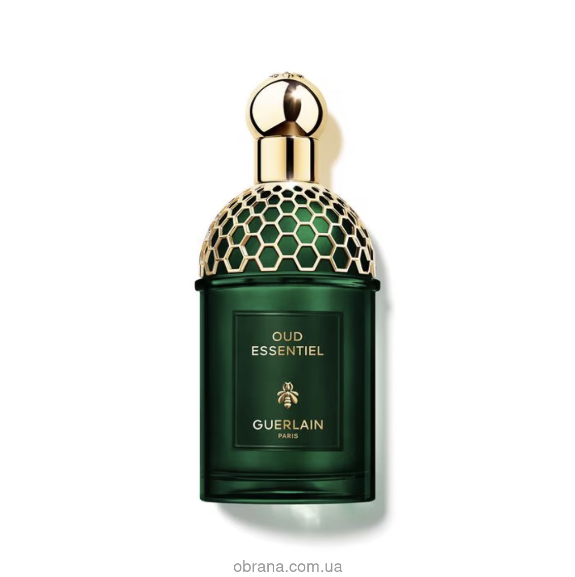 Absolus Allegoria Oud Essentiel Guerlain