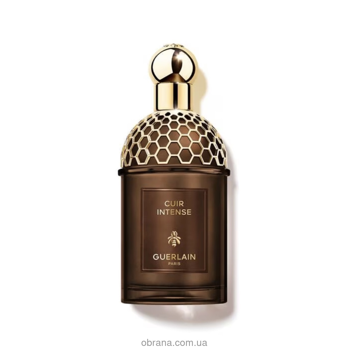 Absolus Allegoria Cuir Intense Guerlain