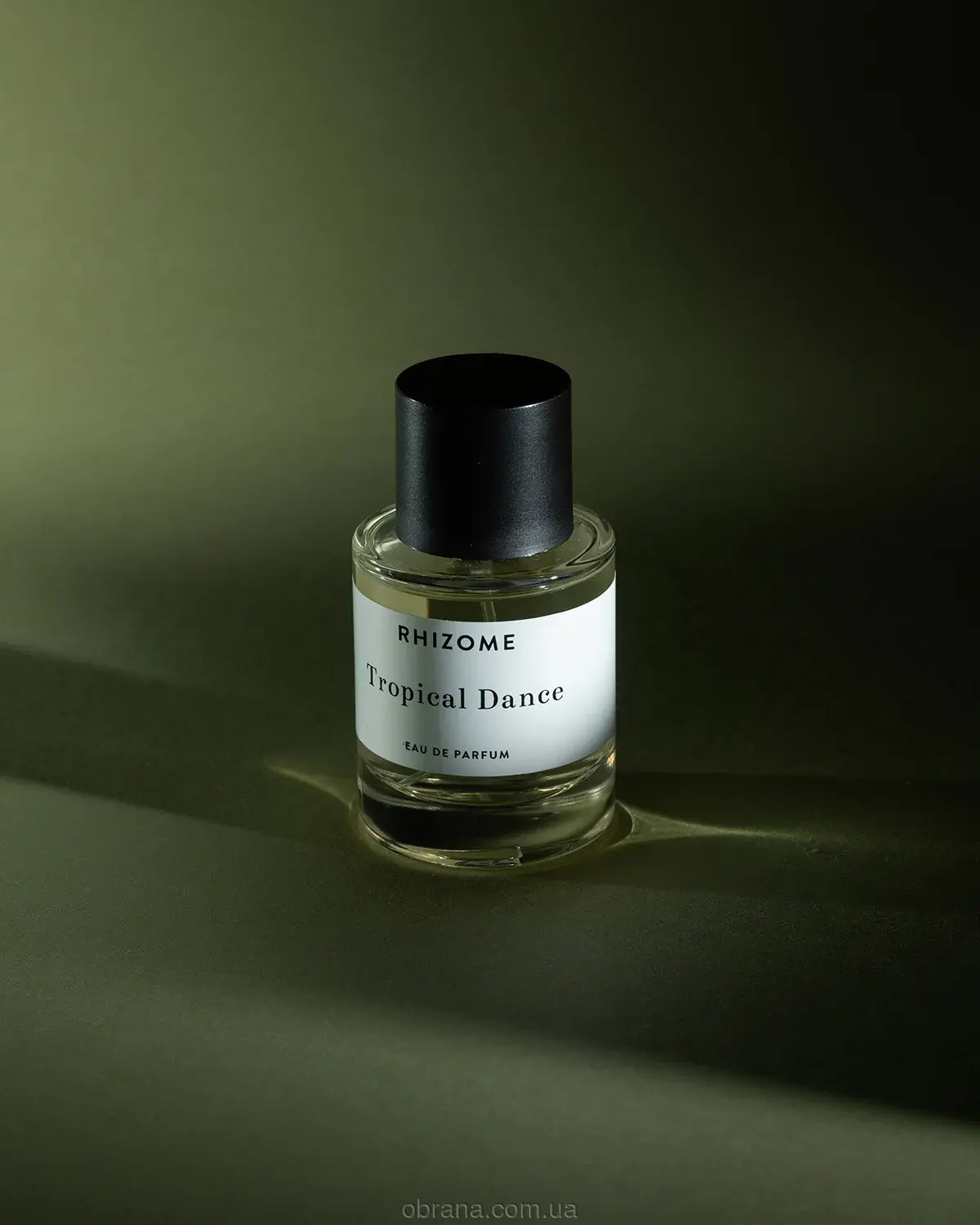 Tropical Dance Rhizome