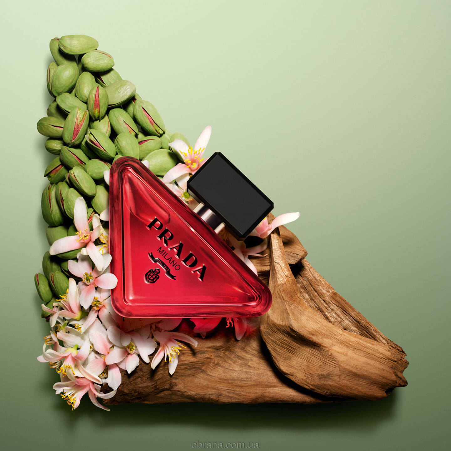 Paradoxe Radical Essence Prada 2025 image 0