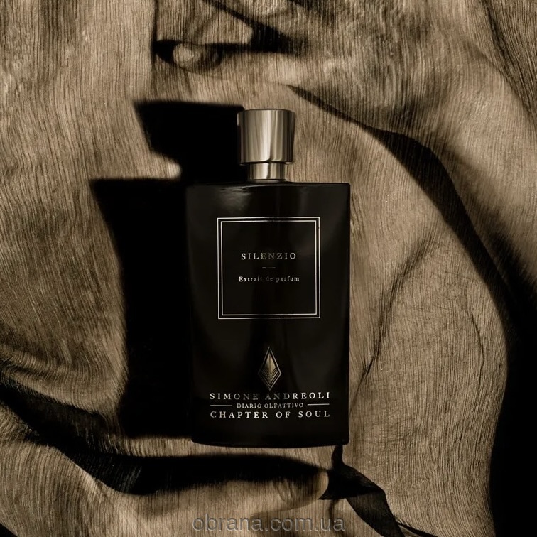 Silenzio Simone Andreoli