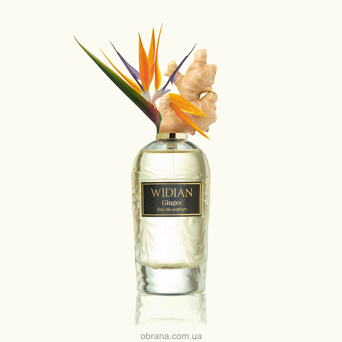 Rose Arabia Ginger WIDIAN image 0