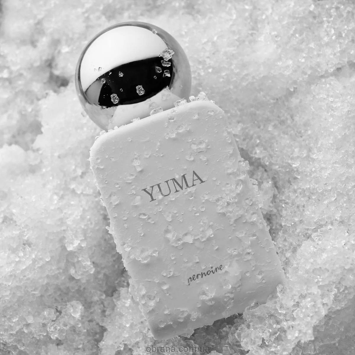 Yuma Pernoire 2026