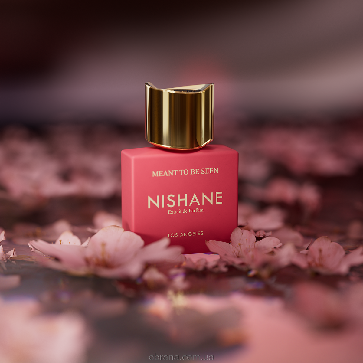 Meant To Be Seen Nishane image 0