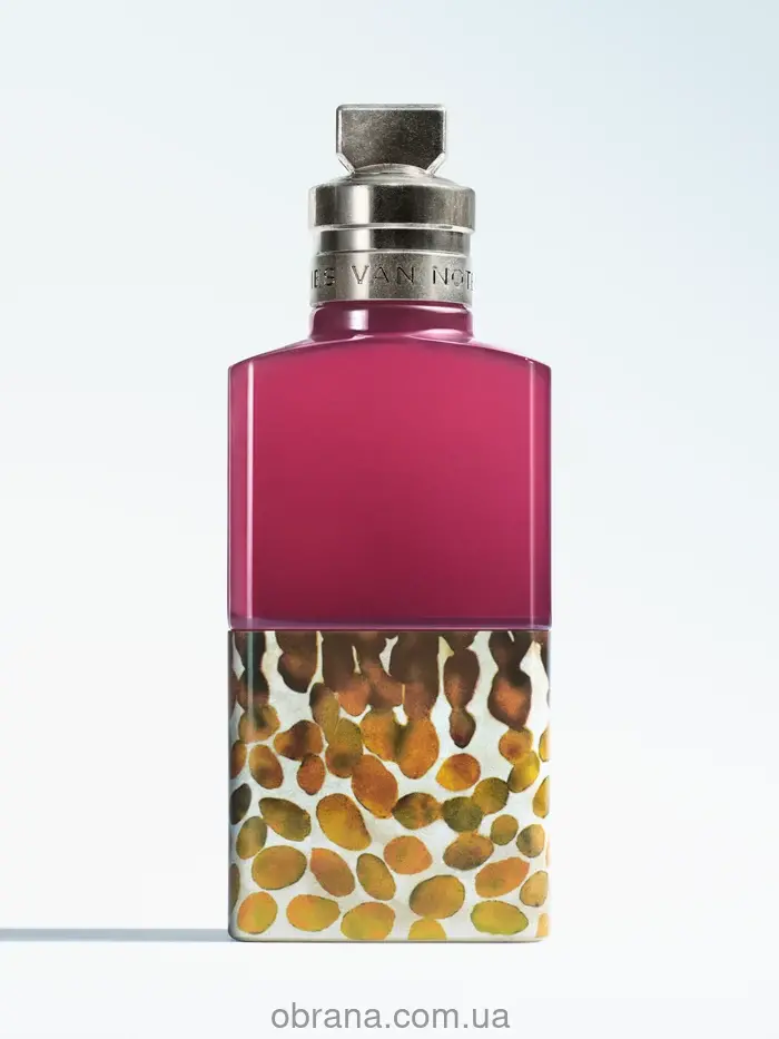 Velvet Violet Dries Van Noten 2026 image 0